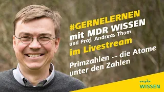 Primzahlen - die Atome unter den Zahlen | #gernelernen mit MDR WISSEN | MDR