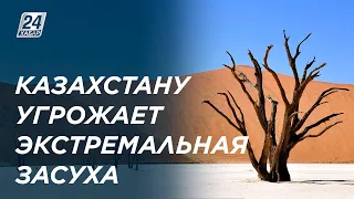 Казахстан может превратиться в самый жаркий и засушливый регион на планете
