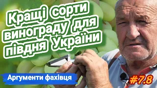 The best grape varieties for southern Ukraine. Arguments of expert winegrowers