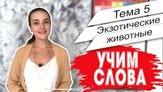 Английский. Начало. Учим слова - Тема 5 Экзотические животные