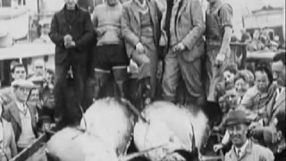 World Record of Giant Bluefin Tuna 1496 lbs Ken Fraser & Nova Scotia Highlight