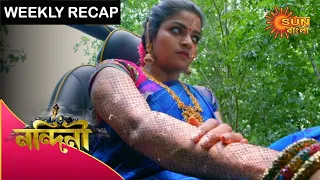 Nandini - Weekly Recap | 03 - 09 Jan '20 | Sun Bangla TV Serial | Bengali Serial