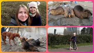 VLOG: Жизнь в Праге/ Кормим Нутрий/ Прогулка на самокате