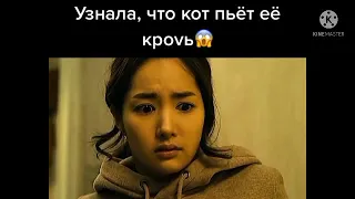 Узнала Что Кот Пьет Ее Кровь