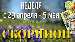 СКОРПИОН 🌷🌷🌷 НЕДЕЛЯ с 29 АПРЕЛЯ - 5 МАЯ 2024 года Таро Прогноз ГОРОСКОП Angel Tarot