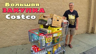 Покупки в Костко на $535 / Закупка продуктов на месяц в Costco / Шоппинг для нового дома / США влог