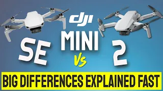 Mini SE vs Mini 2 // What's Different!?