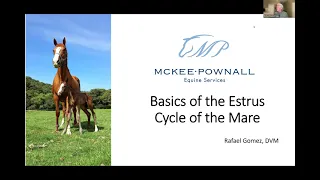 Dr. Gomez Webinar Part 1: Basics of the Estrus Cycle