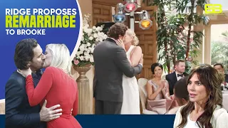 The Bold and the Beautiful Spoilers: Ridge Proposes Remarriage to Brooke - Betrays Taylor?
