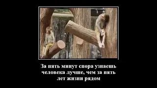 супер демотиваторы, картинки приколы, веселые демотиваторы.