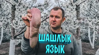 🔥Деликатес на шампурах!🔥 Супер шашлык из телячьего языка!👍