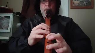 Headwig's Theme from Harry Potter on Native American style Flute