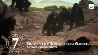 7 лучших обезьян в кино