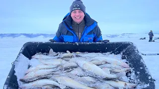 ПОЛНЫЕ САНИ СУДАКА НА ОДНУ ПРИМАНКУ! Розыгрыш вибов + бесплатная рыбалка на рыболовной базе Атабаево