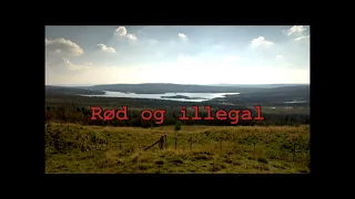 Rød og illegal