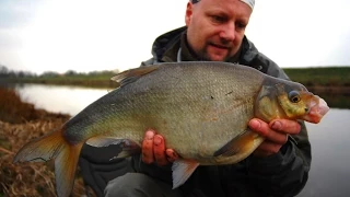 Matze Koch: Feedern an Kanal und See Teil 2 - Matzes Mätzchen 08-2012