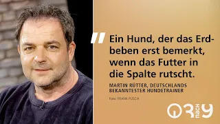 Martin Rütter empfiehlt einen Hund für Giovanni di Lorenzo // 3nach9