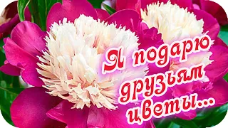 Доброе утро! ❤️Я подарю друзьям цветы... ❤️Душевные пожелания ❤️Good morning❤️