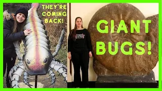 "Prehistoric" 🦗 GIANT 🦂 BUGS  🐛 are coming back!