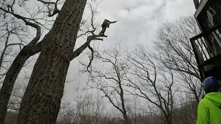 Trimming and Chunking off of a deck