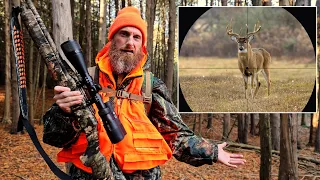 Scope Hunting Wild Deer, Fire Cook, Eat (Start to Finish) - (ASMR)