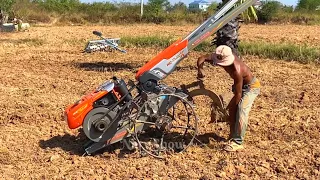 How He Turned Desert Sand Into Fertile Farm Land In 3 Months! 3