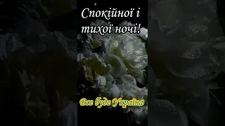 Спокійної ночі. Тихої ночі.