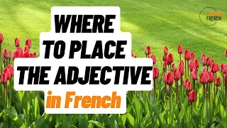 Where to place the adjective in French - all levels