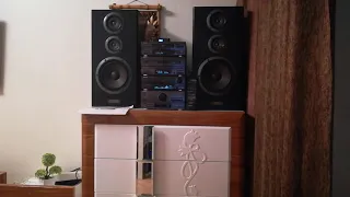 Pioneer CS-5030