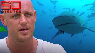 Brave diver's arm and leg ripped off by bull shark in Sydney | 60 Minutes Australia