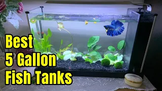 Best 5 Gallon Fish Tanks | Setup ideas & Review