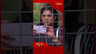 Mynaa | #shorts | Udaya TV | Kannada Serial