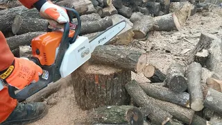 STIHL MS 170 în rodaj. Vă salut pe toți. 🤝🤝🤝