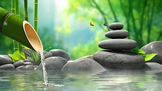 Healing Music for Anxiety Disorders , Reduce Stress, Calming, Meditation Music, Nature Sounds,Bamboo