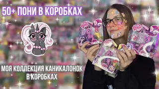 |МОЯ КОЛЛЕКЦИЯ|Обзор всей коллекции каникалонок в коробках 50+