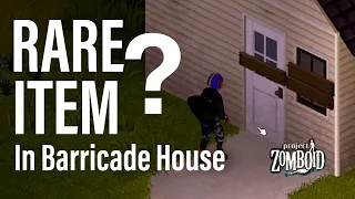 Rare item in Barricade house? (Project Zomboid)