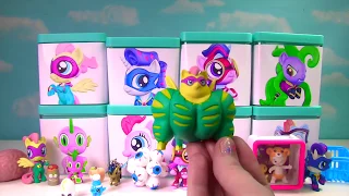 Power Ponies Full Case in Surprise Blind Boxes