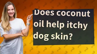 Does coconut oil help itchy dog skin?