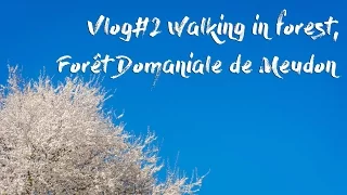 Vlog#2 Walking in forest, Forêt Domaniale de Meudon, PPANAM 빠남