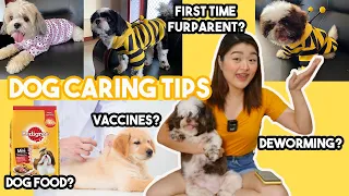 HOW TO TAKE CARE OF SMALL BREED DOGS | Pet Care for Beginners | Arah Virtucio