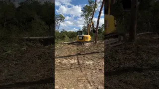 Clearing the land for our companies first house build #marionoaks #construction