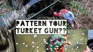 Pattern Your Turkey Gun | STEVENS 301 | 20 Gauge | TSS Pattern | TURKEY SEASON