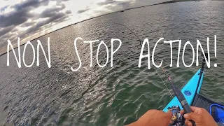 Non Stop Action! Crazy 2 hours of Redfish fishing