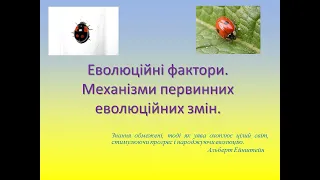 Еволюційні фактори. Механізми первинних еволюційних змін. Механізми видоутворення. Біологія 9 клас