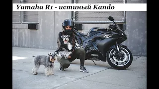 Yamaha R1 (YZF-R1) Эволюция / история модели