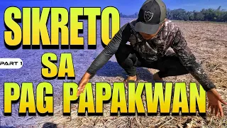 P1-SIKRETO SA PAGPAPAKWAN NI DALAMAN - EP1272