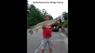 Ochlockonee  River Bridge Fishing