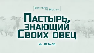 Проповедь: "Ев. от Иоанна: 58. Пастырь, знающий Своих овец" (Алексей Коломийцев)