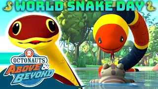 Octonauts: Above & Beyond -  🐍 Sneaky Snakes | World Snake Day  🐍 | Compilation | @Octonauts​