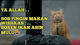 KUCING OREN YANG MENYELAMATKAN PENGAMEN -Alur film a street cat named bob